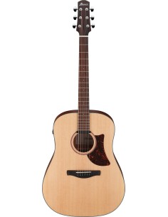 Ibanez AAD100E-OPN