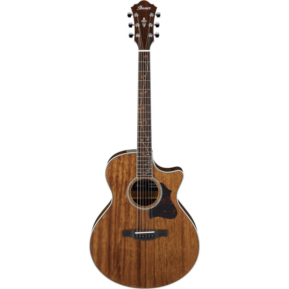 Ibanez AE245-NT