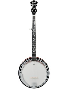 Ibanez B200