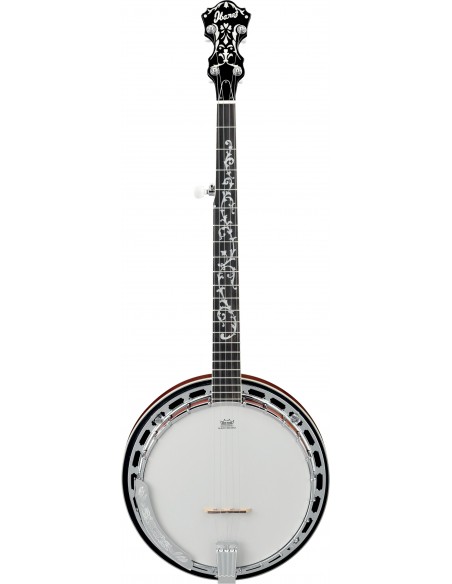 Ibanez B200