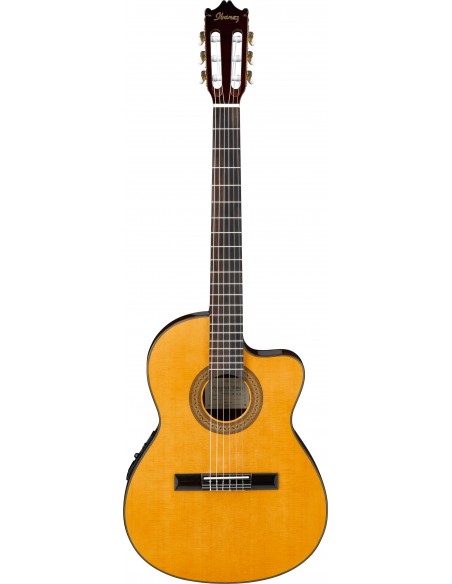 Ibanez GA5TCE-AM
