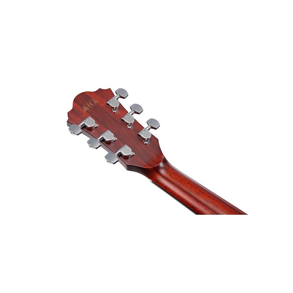 Ibanez AE410-LGS