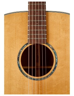 Tasman THE TASMAN TA100 DREADNOUGHT ACUSTICA , PREMIUM... 2
