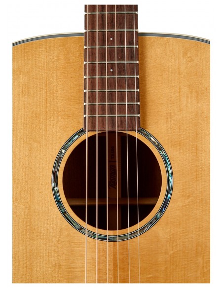 Tasman THE TASMAN TA100 DREADNOUGHT ACUSTICA , PREMIUM HARD CASE