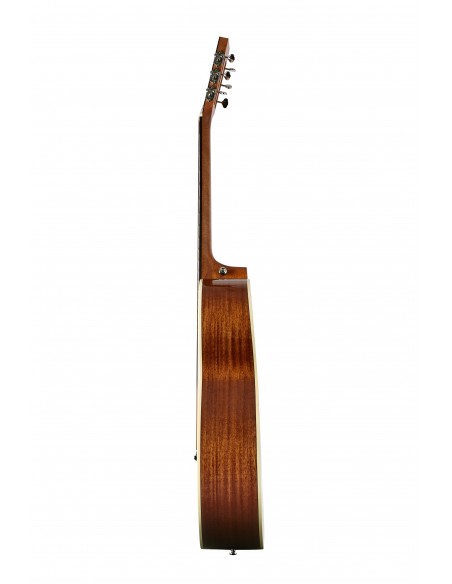 Tasman THE TASMAN TA100P PARLOUR ACUSTICA , PREMIUM HARD CASE