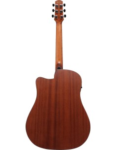 Ibanez AAD50CE-LG 2