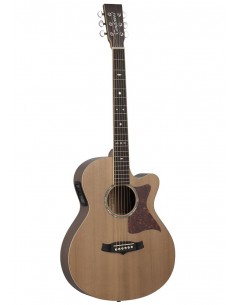 Tanglewood TW45RE
