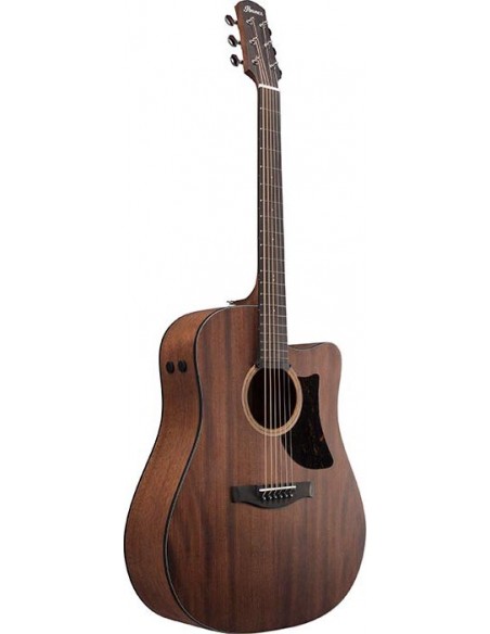 Ibanez AAD190CE-OPN