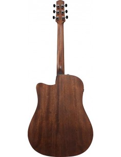Ibanez AAD190CE-OPN 2