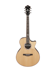 Ibanez MRC10-NT