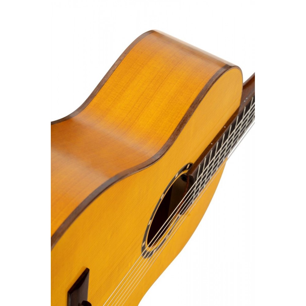 Ortega R170F