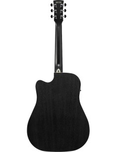 Ibanez PF16MWCE-WK 2