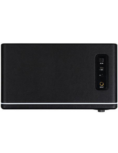 Mooer HORNET 15I BLACK