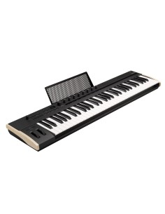 Korg KEYSTAGE 61 2