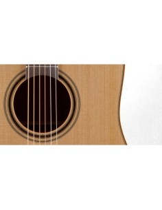 Takamine P3D 2