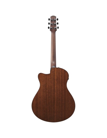 Ibanez AAM300CE-NT