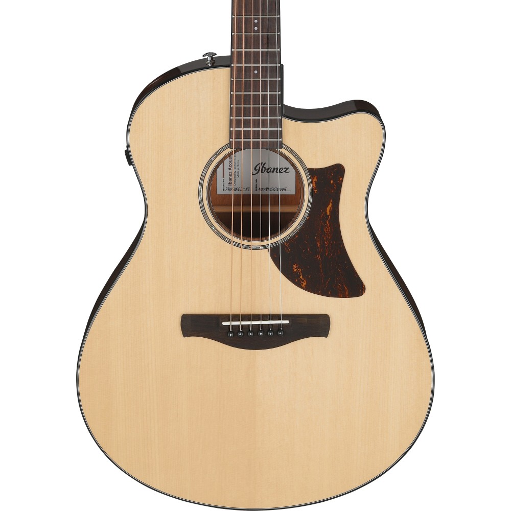 Ibanez AAM300CE-NT