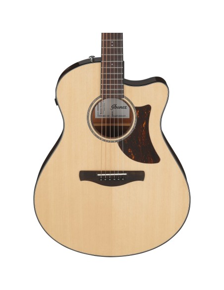 Ibanez AAM300CE-NT