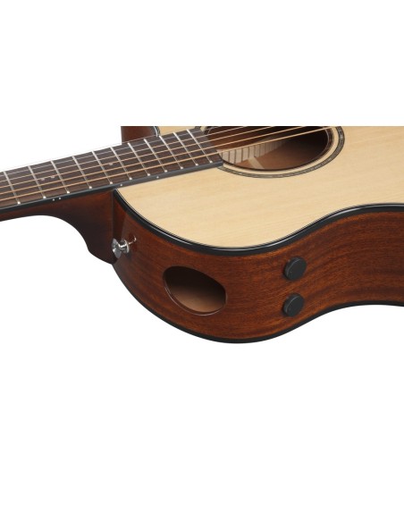 Ibanez AAM300CE-NT