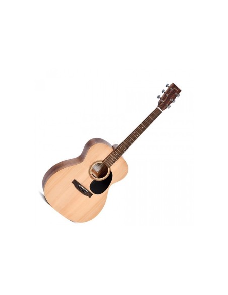 Ditson G-10