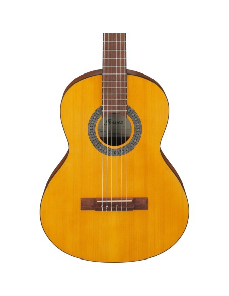 Ibanez GA2-OAM