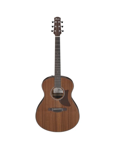 Ibanez AAM54-OPN
