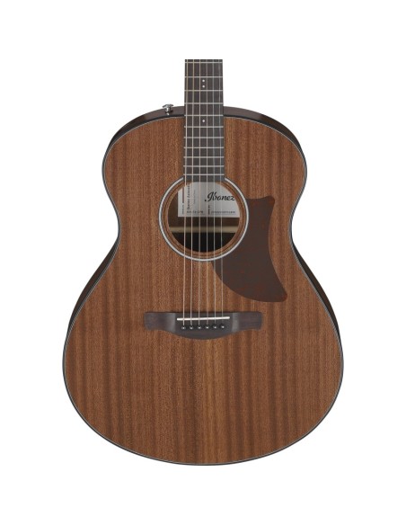 Ibanez AAM54-OPN