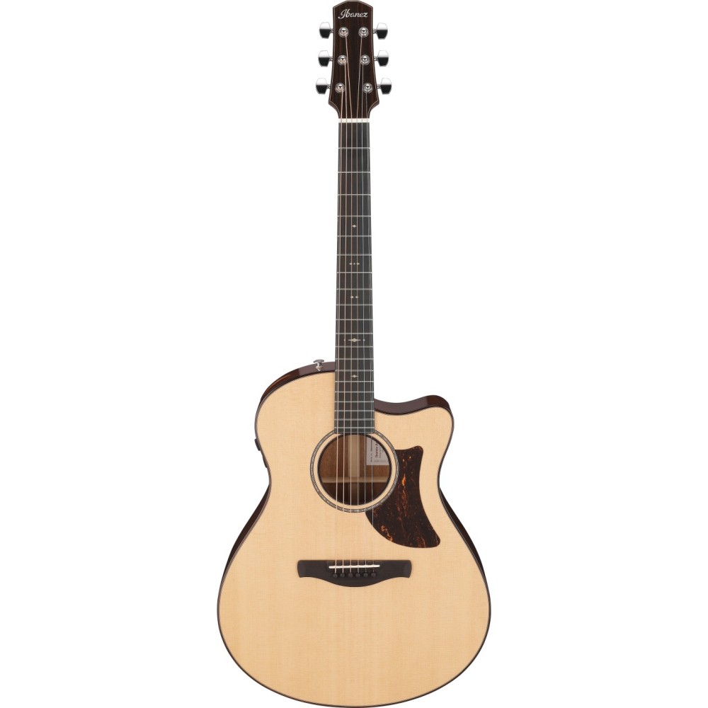 Ibanez AAM700CE-NT
