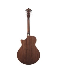 Ibanez AE100-BUF 2