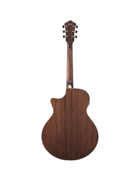 Ibanez AE100-BUF