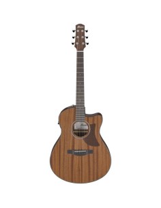 Ibanez AAM54CE-OPN