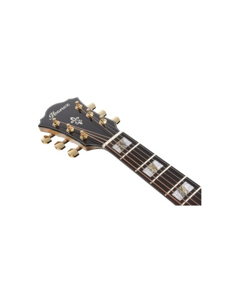 Ibanez AE390-NTA