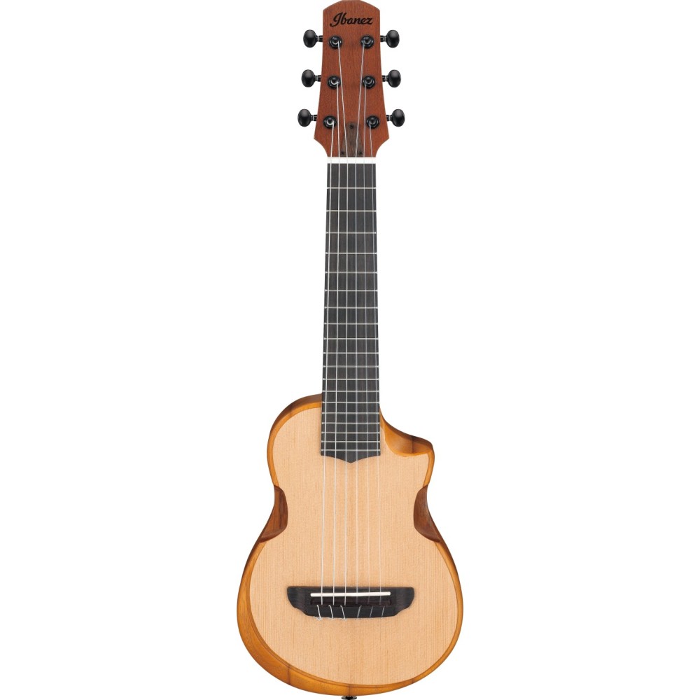 Ibanez AUP10N-OPN