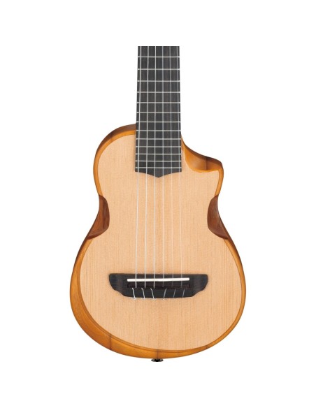 Ibanez AUP10N-OPN