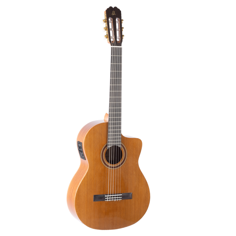 Admira CLASICA GRANADA ELECTRIFICADA FISHMAN...