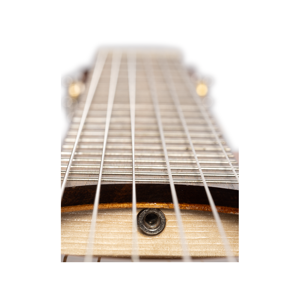 Admira CLASICA GRANADA ELECTRIFICADA FISHMAN...