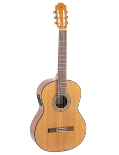 Admira A1 ELECTRIFICADA FISHMAN SERIE ARTESANIA