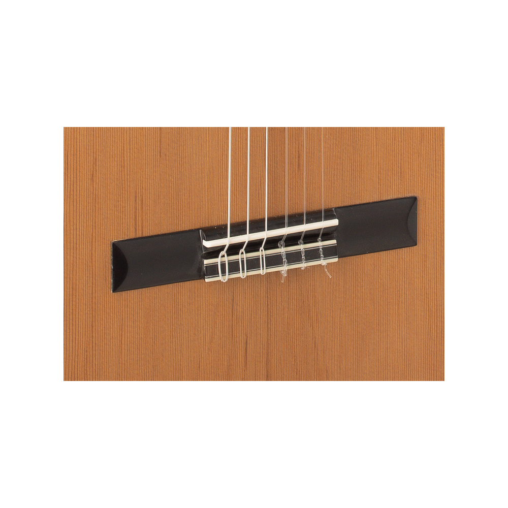 Admira A1 ELECTRIFICADA FISHMAN SERIE ARTESANIA