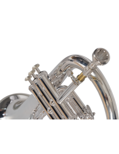 J.Michael FLISCORNO PLATEADO FG550S