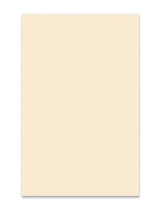 Boston MATERIAL GOLPEADOR 3C 45X29CM BLANCO