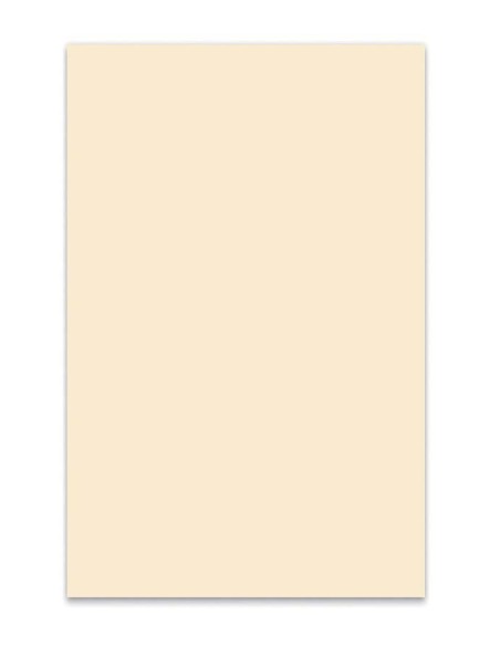Boston MATERIAL GOLPEADOR 3C 45X29CM BLANCO