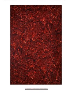 Boston MATERIAL GOLPEADOR 4C 45X29CM TORTUGA