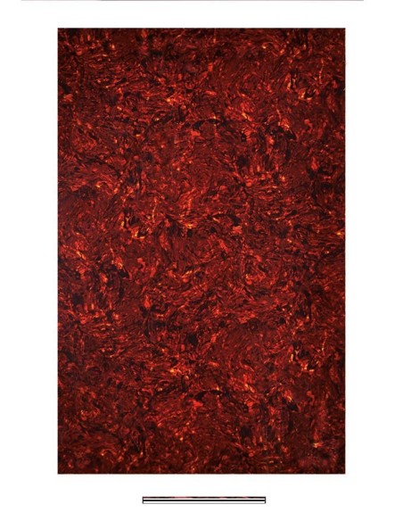 Boston MATERIAL GOLPEADOR 4C 45X29CM TORTUGA