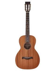 Richwood ACÚSTICA PARLOUR ARTESANA