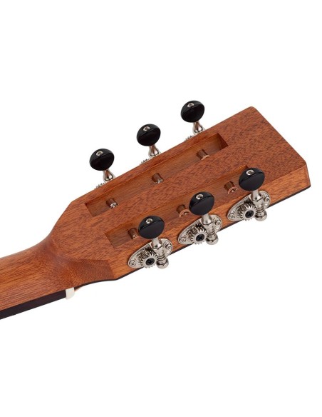 Richwood ACÚSTICA PARLOUR ARTESANA