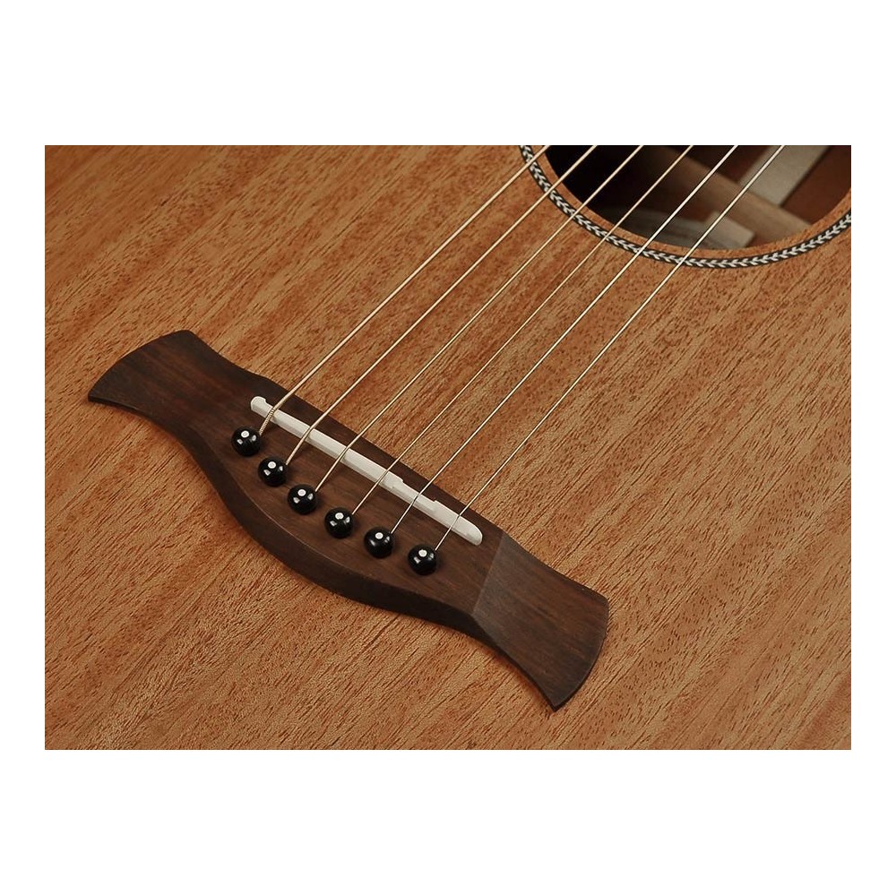 Richwood ACÚSTICA PARLOUR ARTESANA