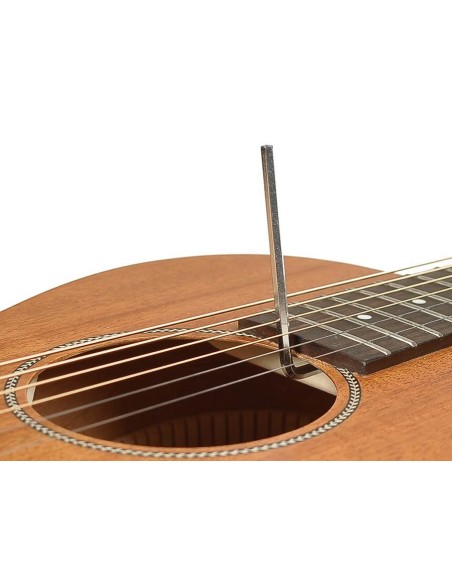 Richwood ACÚSTICA PARLOUR ARTESANA