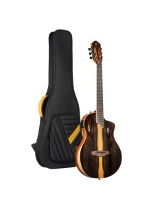 Ortega RTP-LTD 2