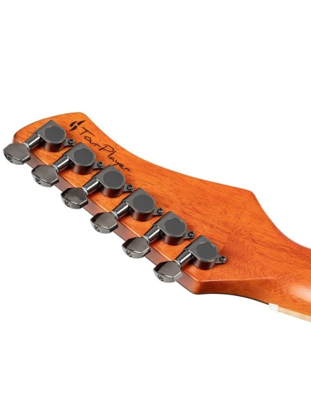 Ortega RTPG-LS1