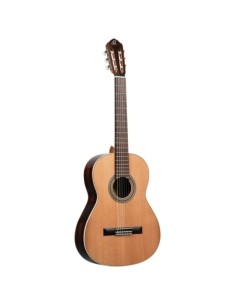 Ortega R19G